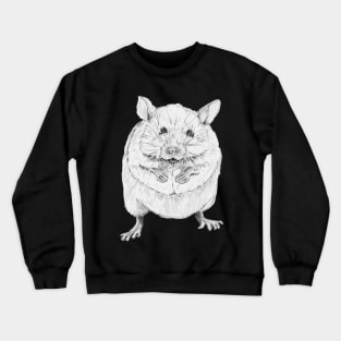 Brian the Mouse on Pale Blue Crewneck Sweatshirt